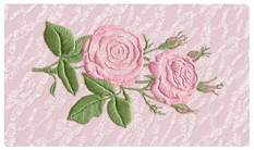 DNSEMP-C-506-PK Satin Rose Pink